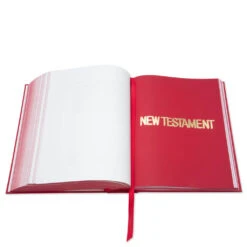 Bible : Hand Lettering By Haze -Fashion Clothing Store GPC Bible Hand Lettering by Haze GPC 001 04 28 2021 01 8