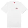 Ice Cubes S/S Tee - White 1 Ice Cubes S/S Tee - White -Fashion Clothing Store Icecream Ice Cubes SS Tee White 431 1209 03 31 23 Feature DV