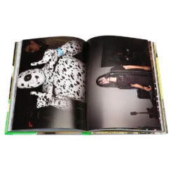 Rizzoli The Cobrasnake: Y2Ks Archive -Fashion Clothing Store Rizzoli The Cobrasnake Y2Ks Archive 978 0 8478 6759 2 11 28 22 Feature JM 4