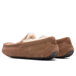 Ugg Ascot Slipper - Chestnut 8 Ugg Ascot Slipper - Chestnut -Fashion Clothing Store UGG Ascot Slipper Chestnut 1101110 CHE 10 30 2021 01 3