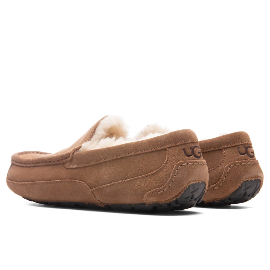 Ugg Ascot Slipper - Chestnut 5 Ugg Ascot Slipper - Chestnut - Image 3