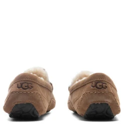 Ugg Ascot Slipper - Chestnut 9 Ugg Ascot Slipper - Chestnut -Fashion Clothing Store UGG Ascot Slipper Chestnut 1101110 CHE 10 30 2021 01 4