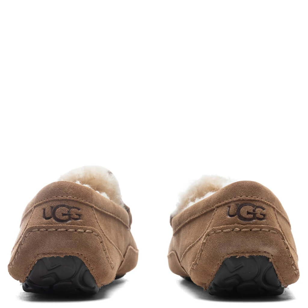 Ugg Ascot Slipper - Chestnut 6 Ugg Ascot Slipper - Chestnut - Image 4