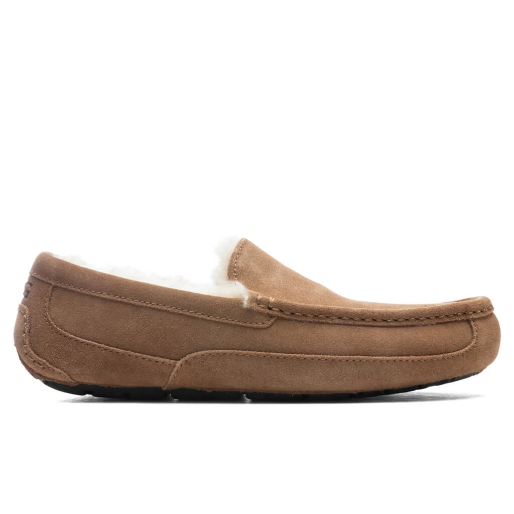 Ugg Ascot Slipper - Chestnut 3 Ugg Ascot Slipper - Chestnut