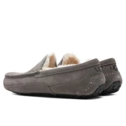 Ugg Ascot Slipper - Grey 8 Ugg Ascot Slipper - Grey -Fashion Clothing Store UGG Ascot Slipper Grey 1101110 GREY 11 16 2021 01 3