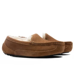 Ugg Kids Ascot Slipper - Chestnut Suede -Fashion Clothing Store UGG Kids Ascot Slipper Chestnut Suede 1120886K CTSD 01 16 2022 01 3