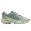 Salomon XT-6 GTX - Desert Sage/Lily Pad/Laurel Wren 2 Salomon XT-6 GTX - Desert Sage/Lily Pad/Laurel Wren -Fashion Clothing Store XT 6 GTX Desert Sage Lily Pad Laur L47292000 11 02 23 Feature KN